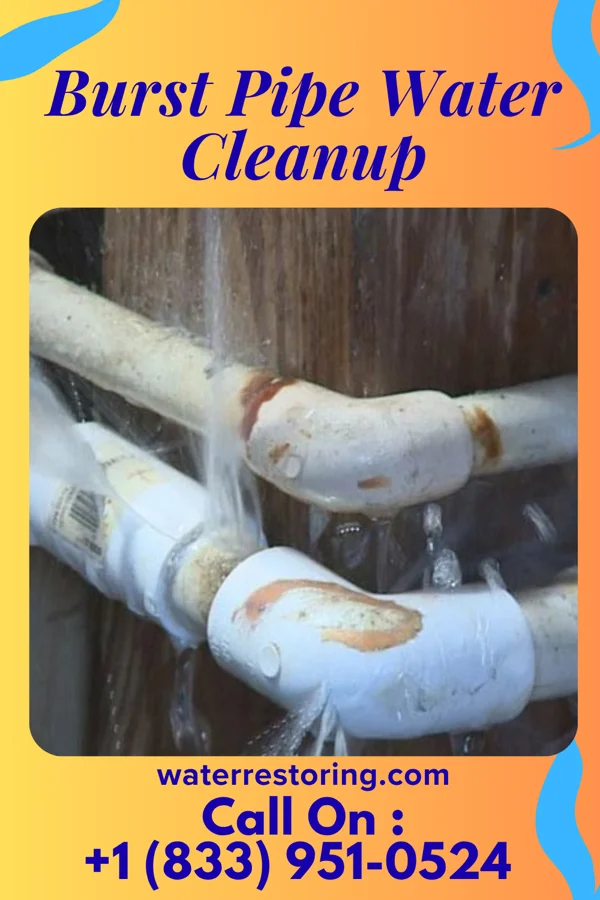 Burst Pipe Water Cleanup in Cross Plains, WI