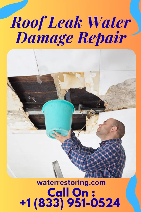 Roof Leak Water Damage Repair in Cross Plains, WI