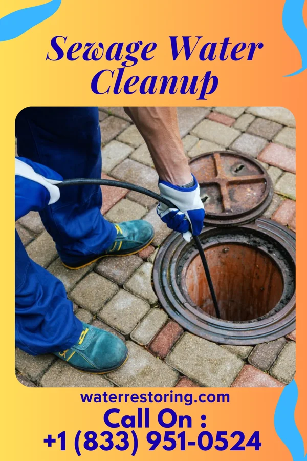 Sewage Water Cleanup in Cross Plains, WI