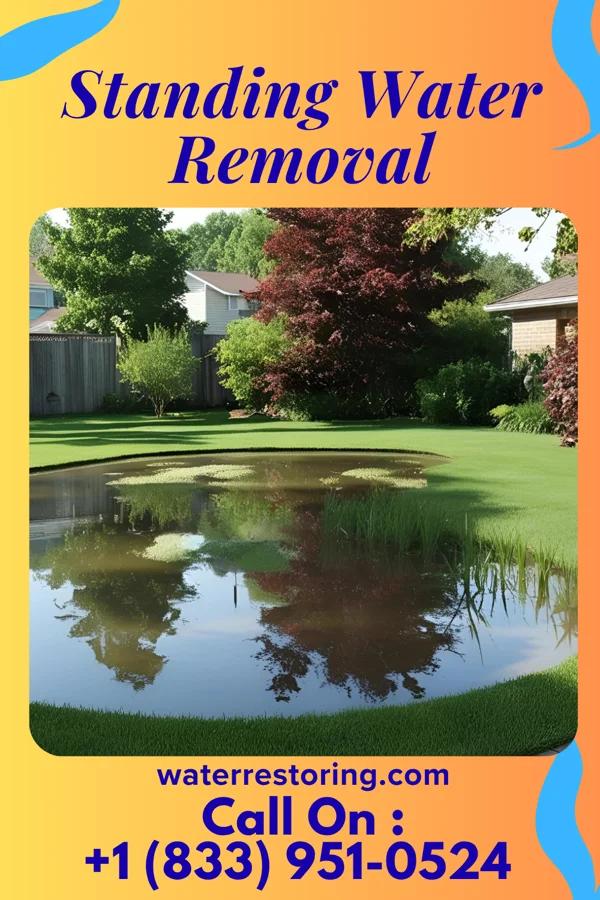 Standing Water Removal in Cross Plains, WI
